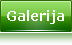 Galerija Burskih koz